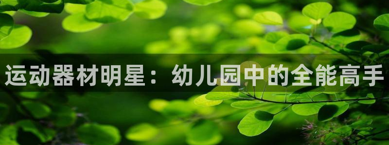 征途国际娱乐首页网站大全：运动器材明星：幼儿园中的全能高手