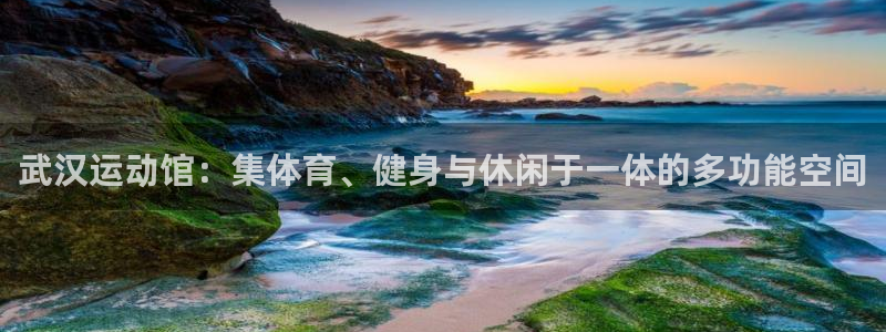 征途国际娱乐首页网站大全：武汉运动馆：集体育、健身与休闲于一