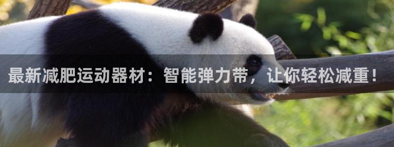 征途国际娱乐：最新减肥运动器材：智能弹力带，让你轻松减重！
