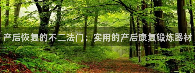 注册征途国际：产后恢复的不二法门：实用的产后康复锻炼器材