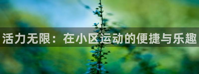 征途国际招商电话号码查询是多少：活力无限：在小区运动的便捷与