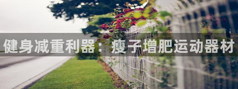 征途国际平台注册要钱吗是真的吗：健身减重利器：瘦子增肥运动器