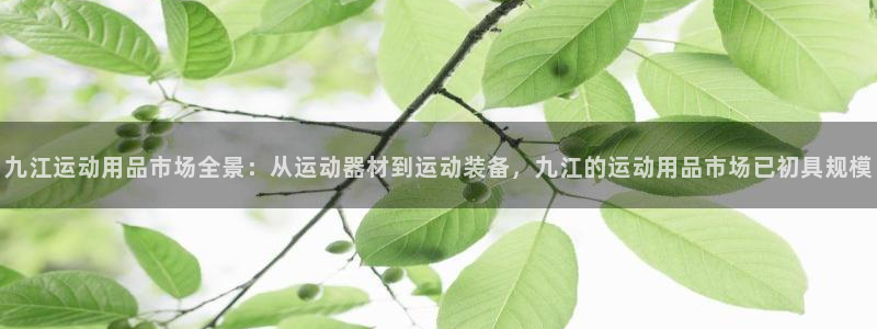 征途国际联系电话：九江运动用品市场全景：从运动器材到运动装备