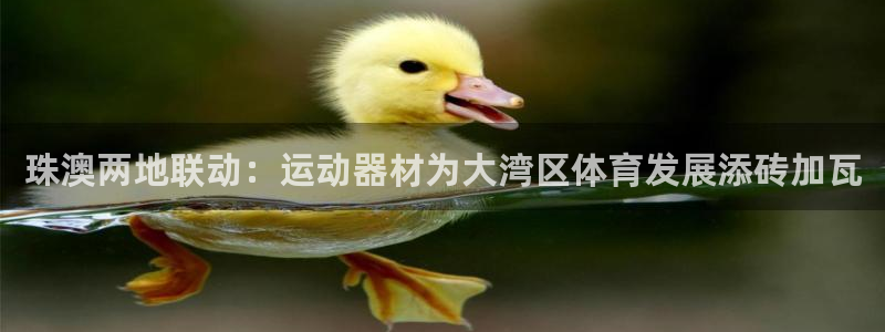 征途国际科技：珠澳两地联动：运动器材为大湾区体育发展