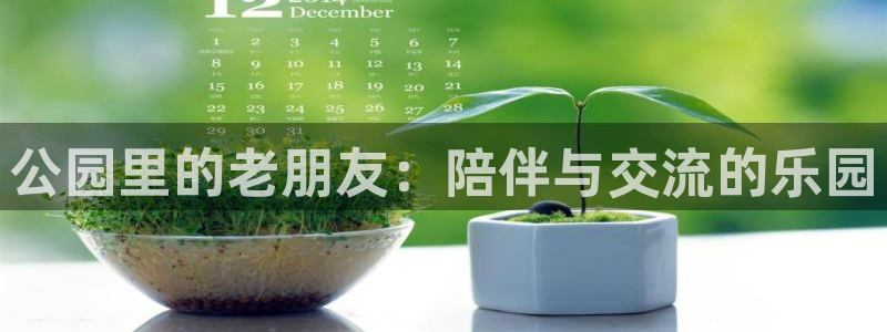 征途国际平台注册要钱吗是真的吗：公园里的老朋友：陪伴与交流的