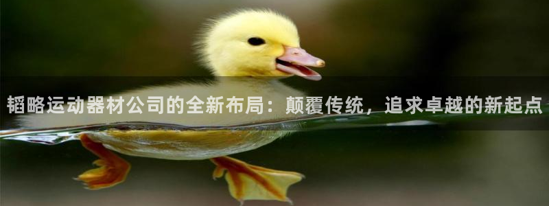 注册征途国际：韬略运动器材公司的全新布局：颠覆传统，