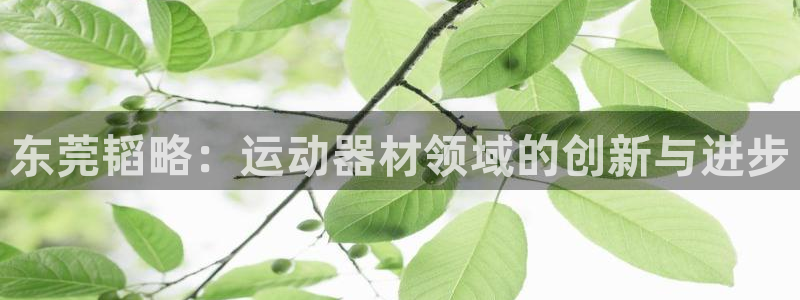 征途国际招商电话号码是多少号：东莞韬略：运动器材领域的创新与