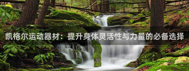 征途国际平台假的吗是真的吗：凯格尔运动器材：提升身体灵活性与