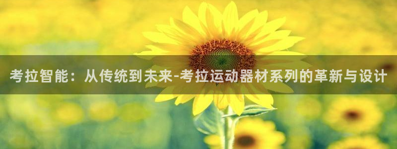 征途国际官网：考拉智能：从传统到未来-考拉运动器材系列的革新
