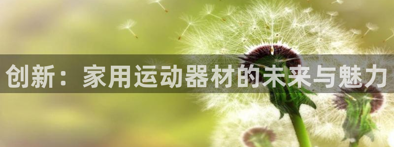 征途国际平台是正规平台吗安全吗：创新：家用运动器材的