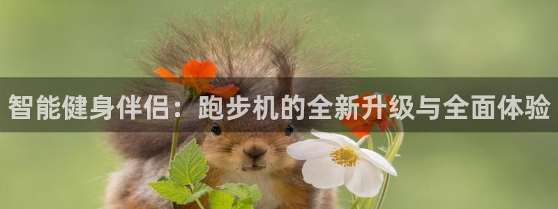 征途国际是干嘛的公司